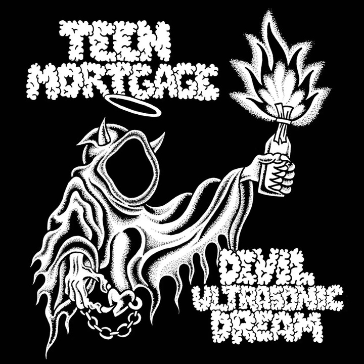 Teen Mortgage - Devil Ultrasonic Dream, Vinyl