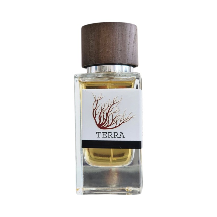 Apa de parfum Emper Terra, barbati, citric-lemnoasa, 100 ml