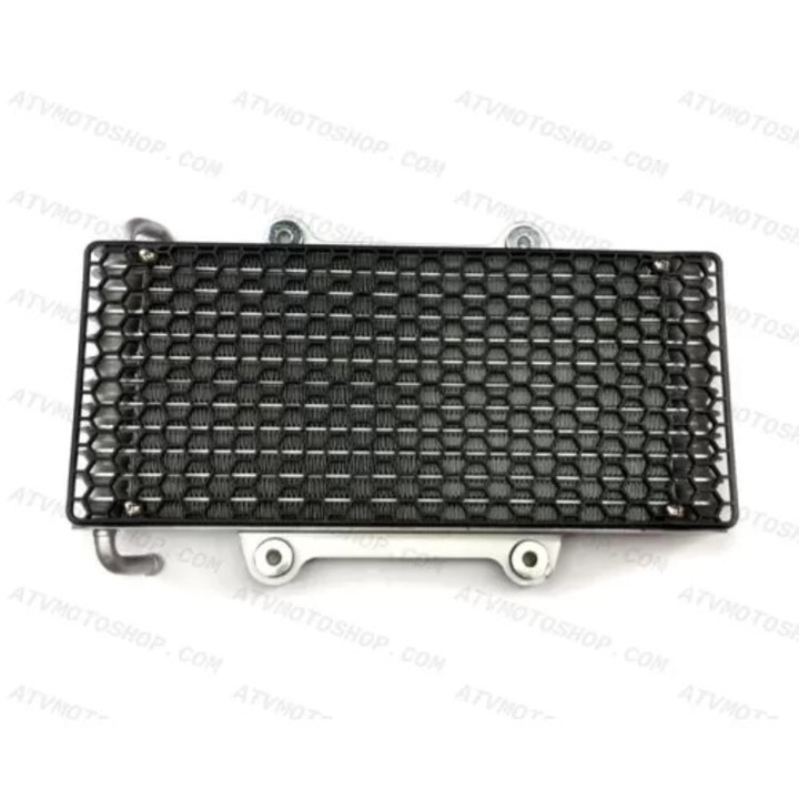 RADIATOR RACIRE ULEI (fara urechi -RUSIA)