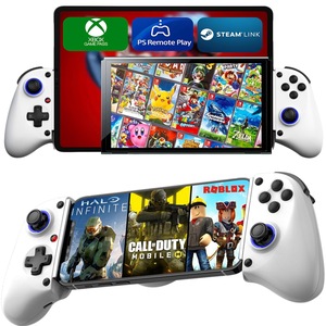 Controlere, Volane si Casti gaming