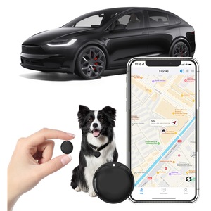 Dispozitive anti-pierdere