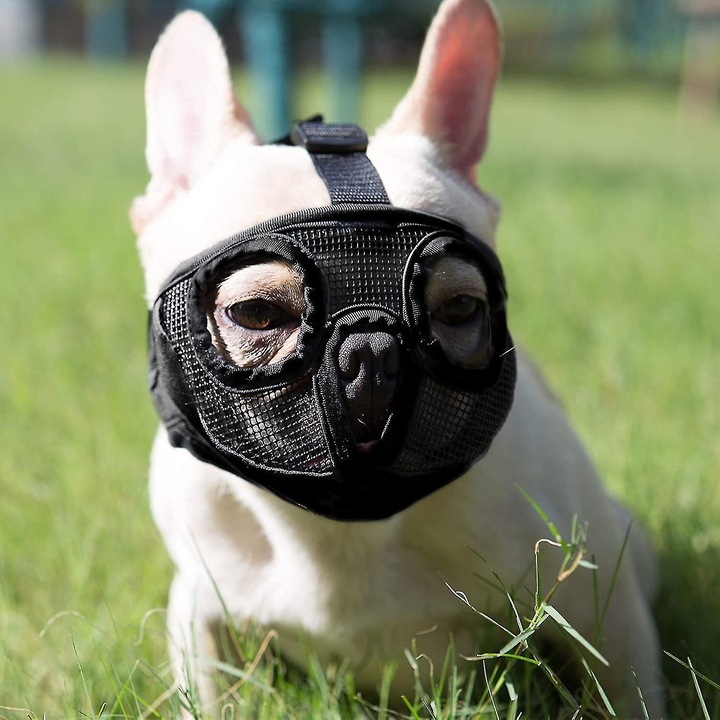 Botnita ajustabila respirabila pentru caini, pentru bulldog, pit bull, pug, M