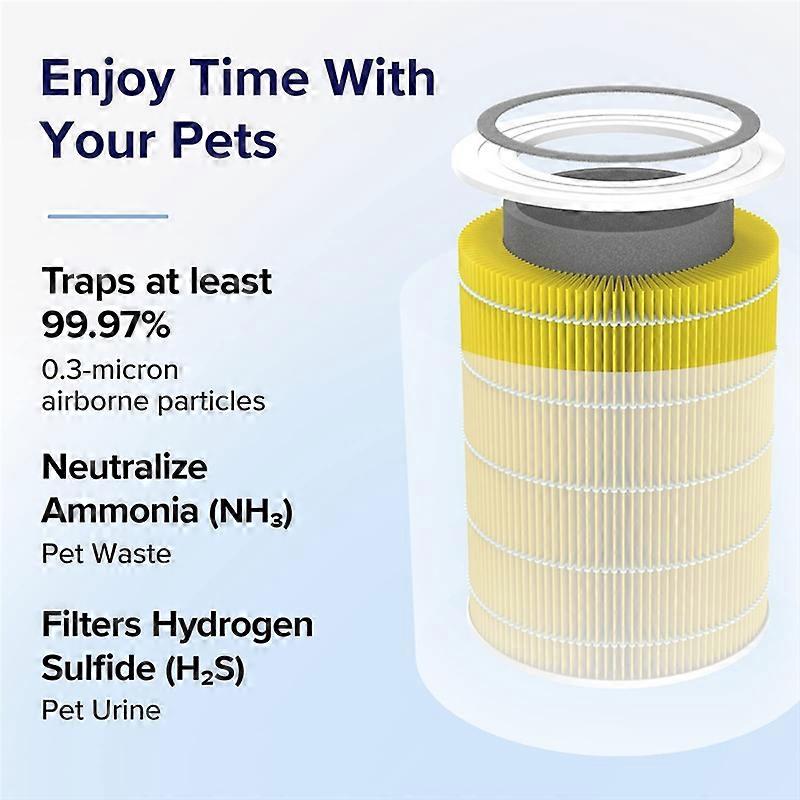 Lot De 2 Filtres Absorbeurs De Toxines Compatibles Avec LEVOIT H13 Core 300s / Core 300 | Filtre De Rechange HEPA Contre La Pollution De L'air Comme