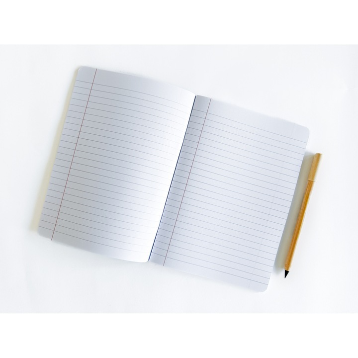 Caiet dictando A5, Carturesti, 48 file, Galben, Denis Alibec