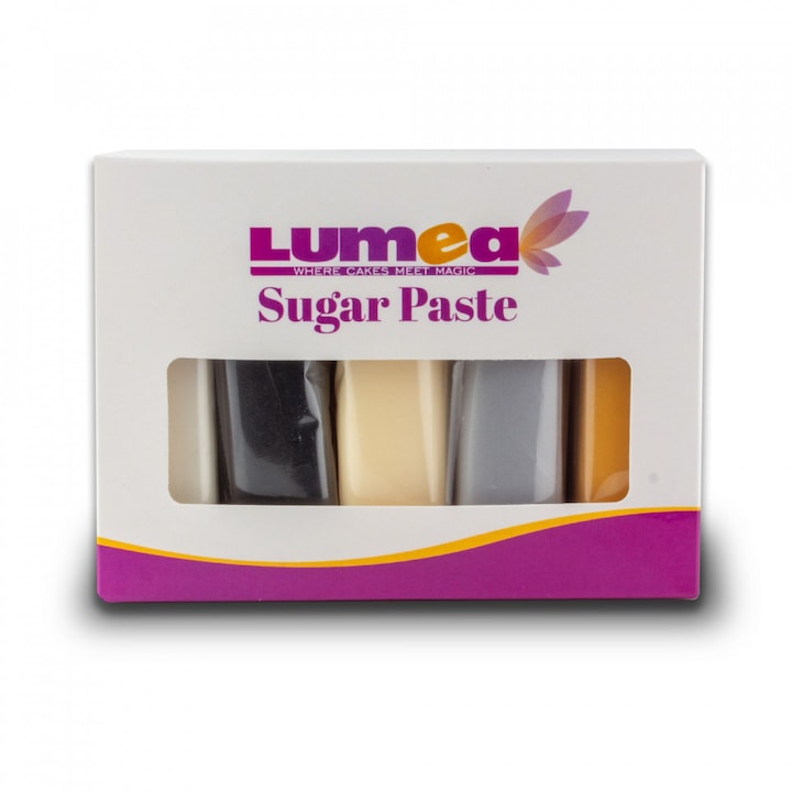 Set fondant Basic mix, 100g x 5 buc. - Lumea