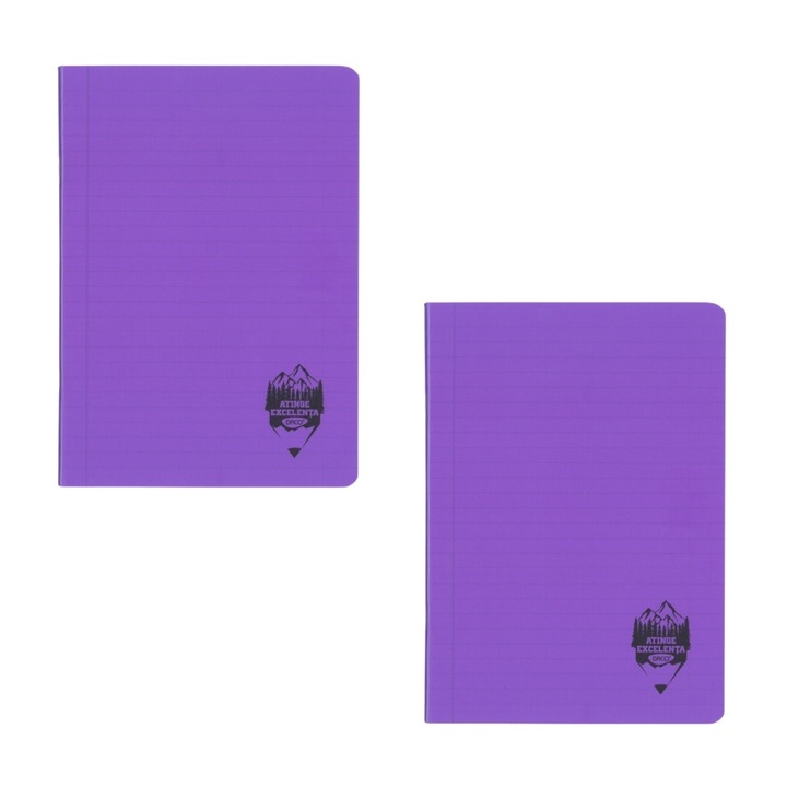 Set 2 caiete DACO A5, 100 file, 70g/mp, dictando, coperta plastic, Mov