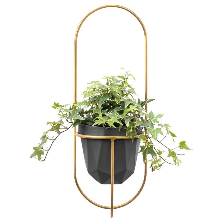 Raft pentru plante, FRAMADO, Suport suspendat pentru flori, 18x21x50cm, Aur, PIANO