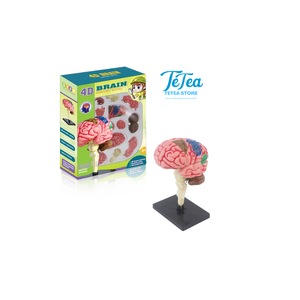 Jocuri si jucarii educative