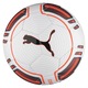 Футболна топка Evo Force Puma
