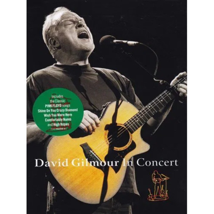 David Gilmour: David Gilmour in Concert: Live At The Festival Hall - DVD, Rock, 1 disc, plastic case