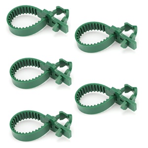 Pomi, arbusti si butasi