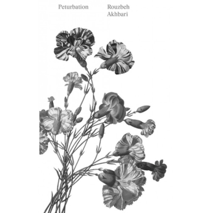 Peturbation: A Speculative History of Future(s) Past