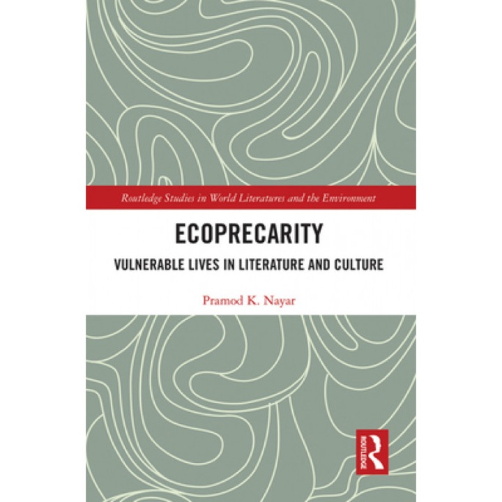 Ecoprecarity: Vulnerable Lives in Literature and Culture
