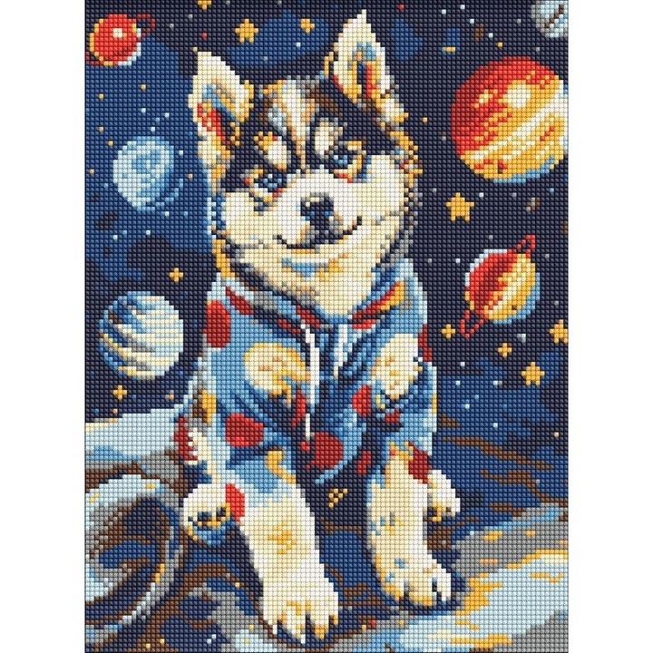 Mozaic cu diamante - Husky spatial 30x40cm