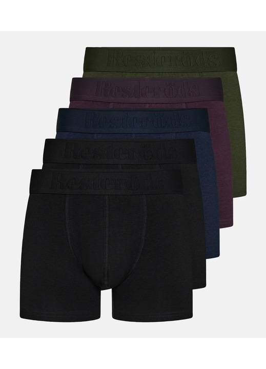 Set de 5 boxeri barbati Resterods, bambus ecologic, multicolor, M INTL