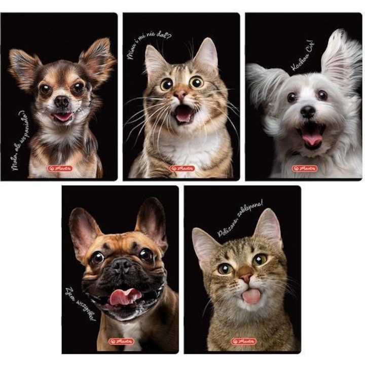 Set caiete A5, Herlitz, 60 file, cu margine, animale, 10 bucati