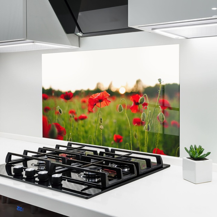 ARTHUB, Konyhai üveg hátfal 60x80 cm, 4 mm edzett, Védő gáz­tűzhely, Fröccsenésgátló, Hőálló, virágok, pipacsok, Poppies Field