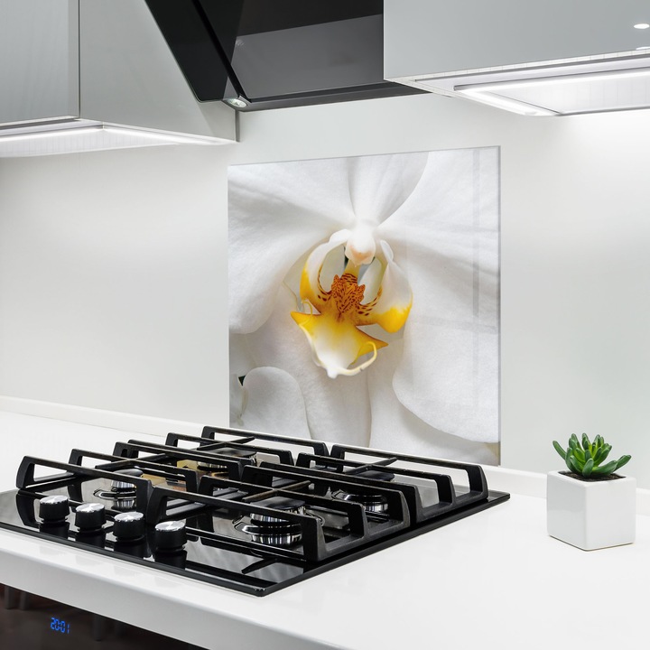 ARTHUB, Konyhai üveg hátfal 100x100 cm, 4 mm edzett, Védő gáz­tűzhely, Fröccsenésgátló, Hőálló, virágok, orchideák, Big Orchid Close Up