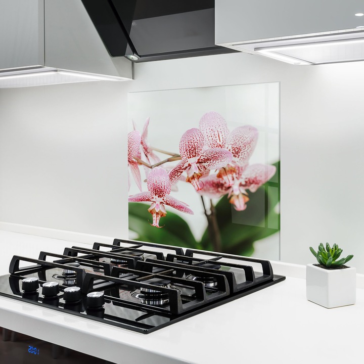 ARTHUB, Konyhai üveg hátfal 100x100 cm, 4 mm edzett, Védő gáz­tűzhely, Fröccsenésgátló, Hőálló, virágok, orchideák, Green Orchids
