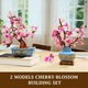 Flori de Cires, HOGOKIDS, Cseresznyevirág Bonsai Építőkészlet, 2 az 1-ben Mesterséges Bonsai Növény Otthoni Dekorációhoz, Botanikus Cseresznyevirág Játék Felnőtteknek és Tizenéveseknek (775 DARAB)
