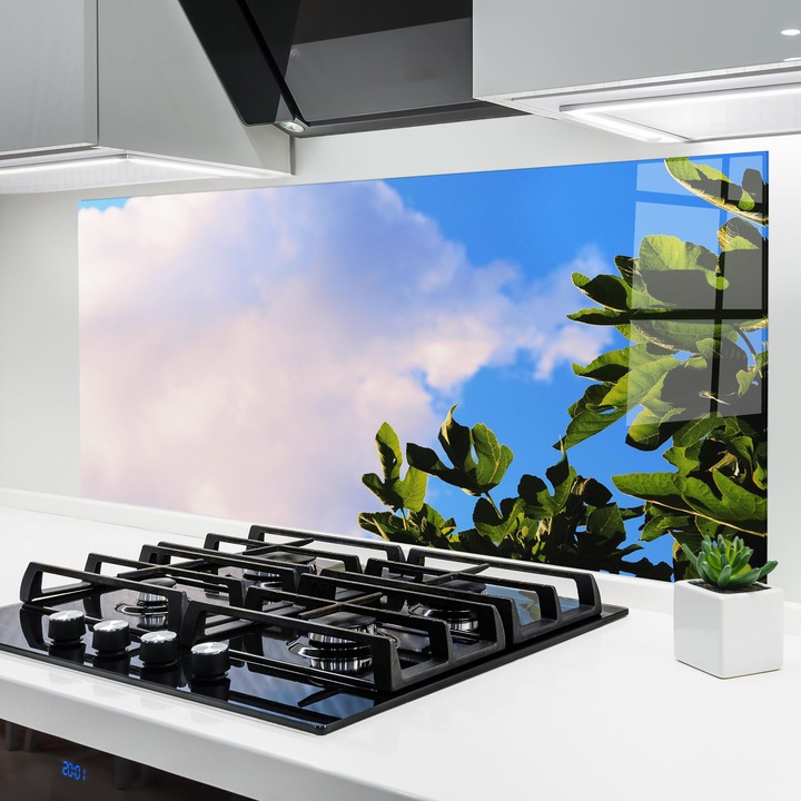 ARTHUB, Konyhai üveg hátfal 60x150 cm, 4 mm edzett, Védő gáz­tűzhely, Fröccsenésgátló, Hőálló, virágok, virágok a természetben, J Cruikshank Lhzagi8n3oi Unsplash