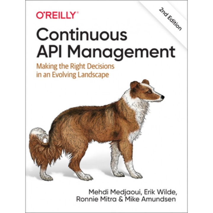 Continuous API Management: Making the Right Decisions in an Evolving Landscape