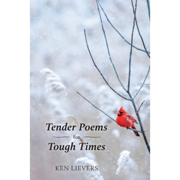 Tender Poems for Tough Times, Ken Lievers (Author)
