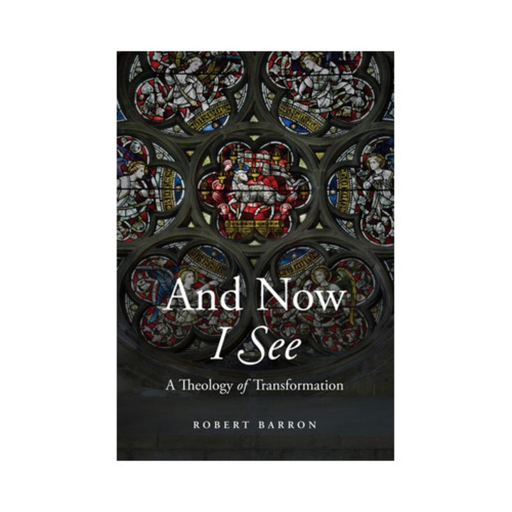 And Now I See, Robert Barron