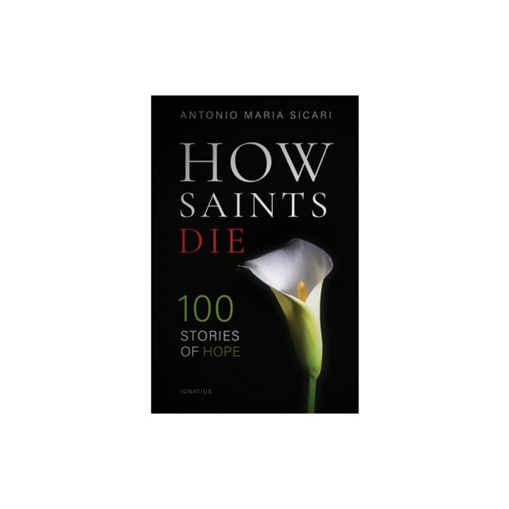 How Saints Die 100 Stories of Hope, Antonio Maria Sicari