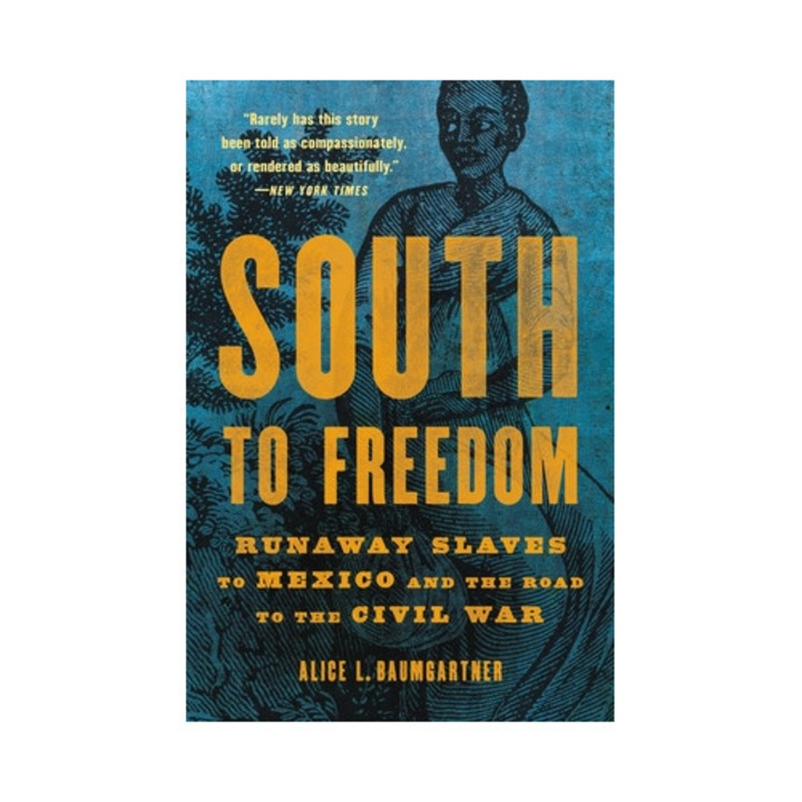 South to Freedom Runaway Slaves to Mexico and the Road to the Civil War, Alice L. Baumgartner