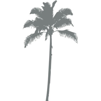 Palmierul - Sticker Decorativ - Gri Metal - 100 x 183 cm Palmierul - Sticker Decorativ - Gri Metal - 100 x 183 cm