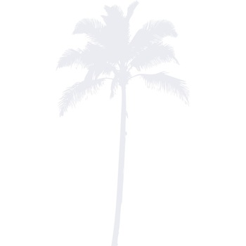 Palmierul - Sticker Decorativ - Alb polar - 100 x 183 cm Palmierul - Sticker Decorativ - Alb polar - 100 x 183 cm