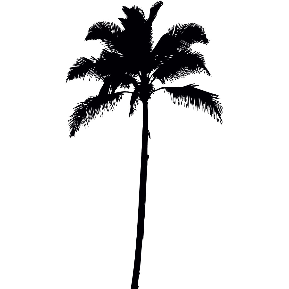 Palmierul - Sticker Decorativ - Negru - 100 x 183 cm