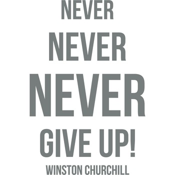 Never Give Up! - Sticker Decorativ - Gri Metal - 119 x 180 cm Never Give Up! - Sticker Decorativ - Gri Metal - 119 x 180 cm