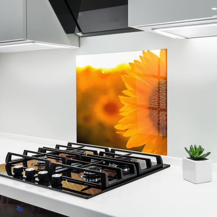 ARTHUB, Konyhai üveg hátfal 100x100 cm, 4 mm edzett, Védő gáz­tűzhely, Fröccsenésgátló, Hőálló, tájképek, nyár, Sunflower