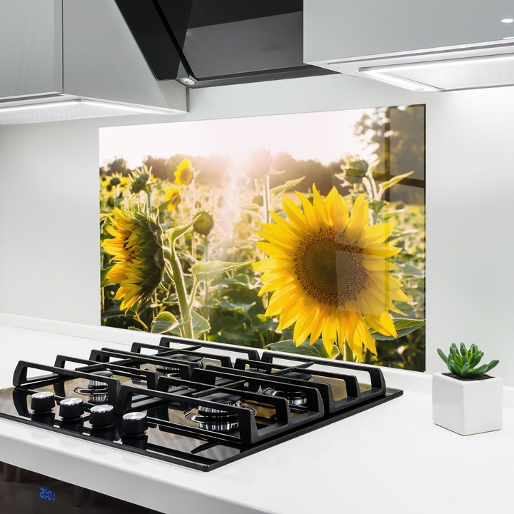 ARTHUB, Konyhai üveg hátfal 80x120 cm, 4 mm edzett, Védő gáz­tűzhely, Fröccsenésgátló, Hőálló, tájképek, nyár, Yellow Sun Flower