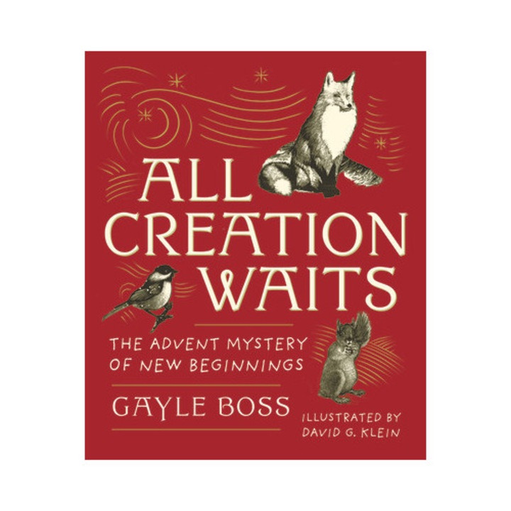 All Creation Waits The Advent Mystery of New Beginnings Gift Edition, Gayle Boss