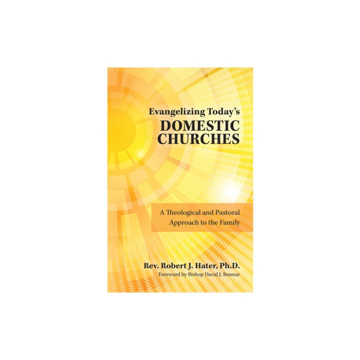 Evangelizing Today's Domestic Churches A Theological and Pastoral Approach to the Family, Robert J. Hater