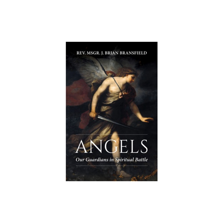 Angels Our Guardians in Spiritual Battle, J. Brian Bransfield