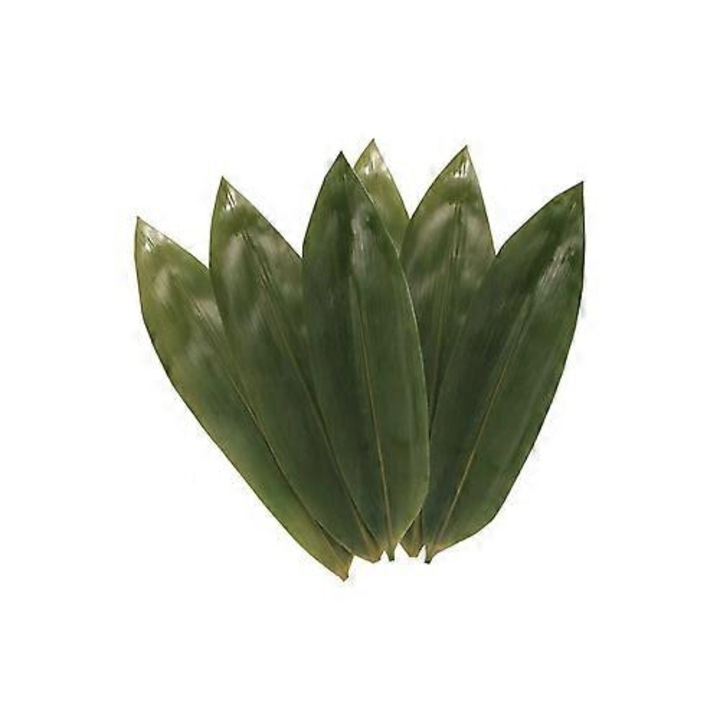 Set 100Pcs Odorizant camera din frunze de bambus uscate naturale