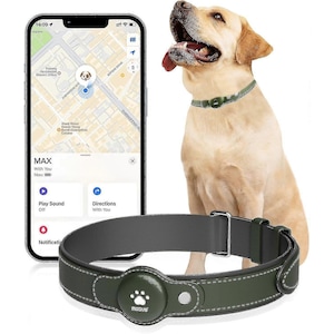 Zgarda de urmarire GPS pentru caini, 2 in 1, conectare rapida, IP67, pentru iOS