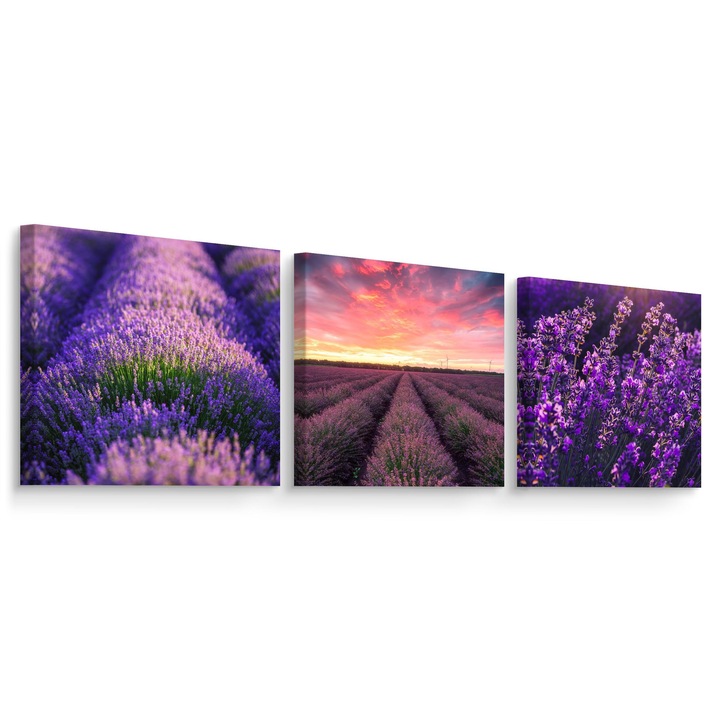 Комплект от 3 картини за кухнята Лавандулово поле 120 см x 40 см Цветя Природа Пейзаж Растения
