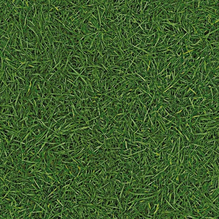 Linoleum PVC, Dekordom, Grass 25, 400 cm x 200 cm, Grosime 2,8 mm, Verde, 8 m², Fixare Cu Adeziv, Uzul Domestic, Profesional, Rezistent La Apa