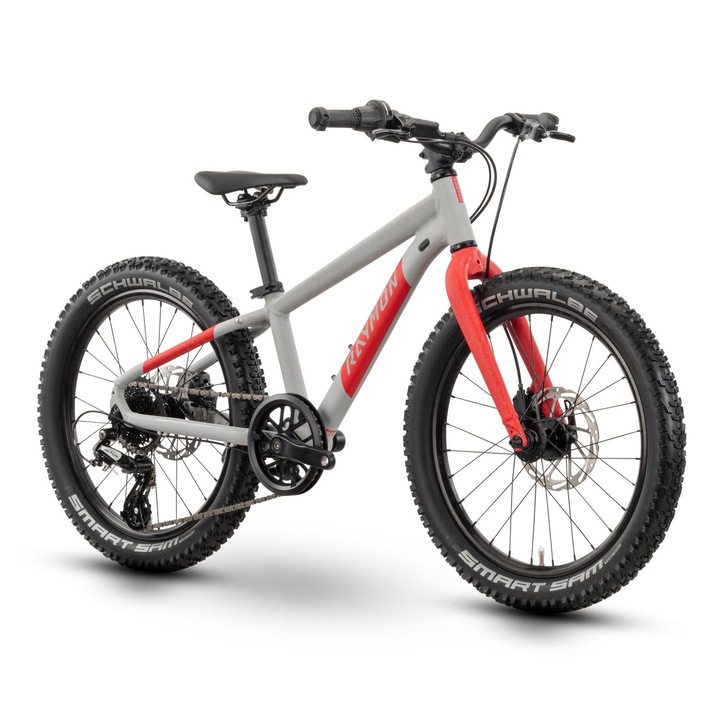 Детски велосипед Raymon Yanga 20 Pro 2025 - 20 инча, сив - Altus