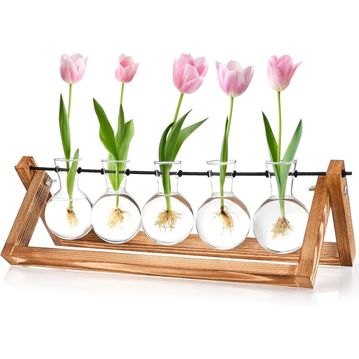 5 Vaze Vintage Mici pentru Decoratiuni de Masa, Suport din Lemn cu Tuburi de Sticla pentru Plante si Flori, Cieex