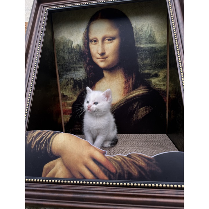 Culcus pentru Pisici cu Design Artistic - Inspirat din Picturi Clasice