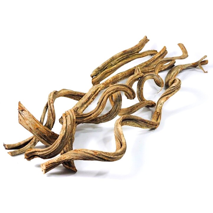 BioTerr terráriumi liana, 20-25 cm, 2-4 cm átmérőjű, nedvességálló