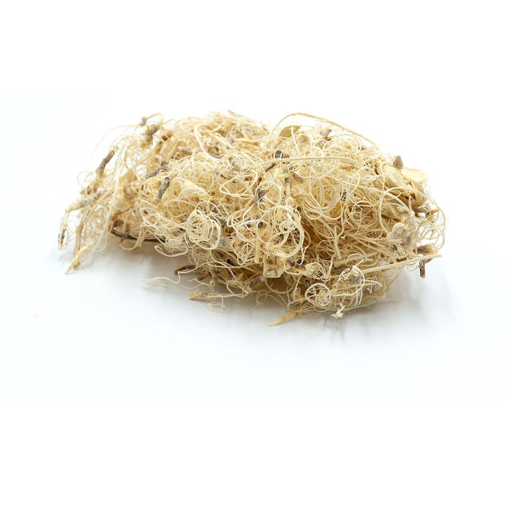 Decoratiune pentru terariu, BIOTERR 25g, natural