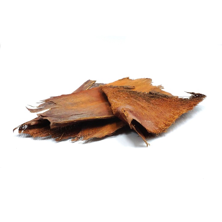 Kora palmei BioPalm, 25-35cm, decor pentru terrarii, naturala, importata din Sri Lanka