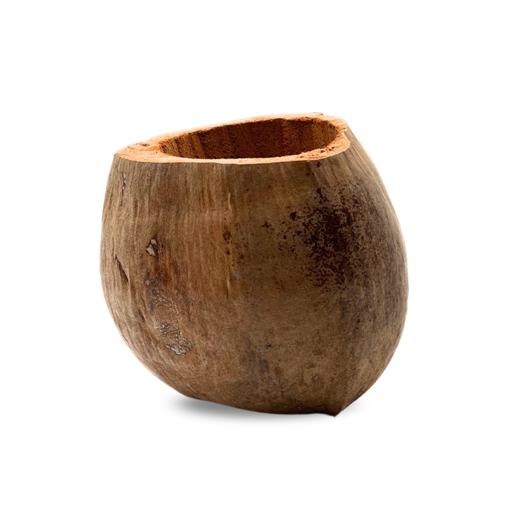 Ghiveci din cocos Bioterr, 18cm, pentru plante epifitice, natural, rezistent la apa